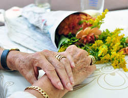 Haendeblumen_dsc_0327.fill_250