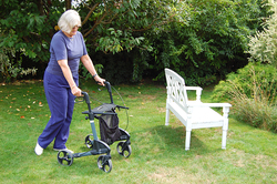 Rollator_dsc_0994.fit_250